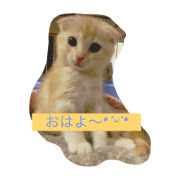 fuwari Kirari