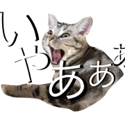 stamps of Miiko