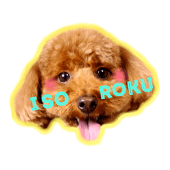 ISOROKU.S