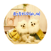 kyonmomo&hinamari3