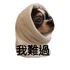 Jimmy 大