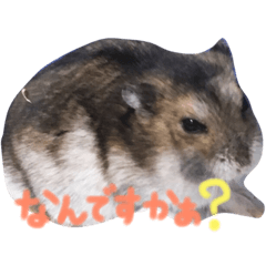 Hamster stump