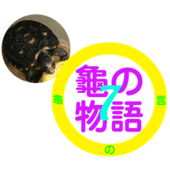Turtle Story 7