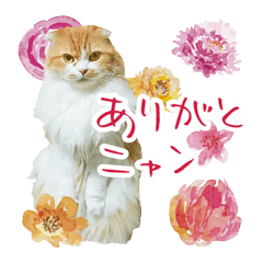 Cute Cats&Dog Photo Sticker No.1