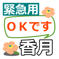 Emergency use[kazuki]name Sticker
