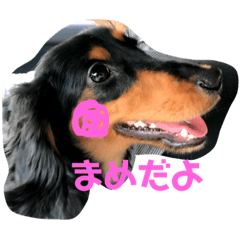 i am mame .