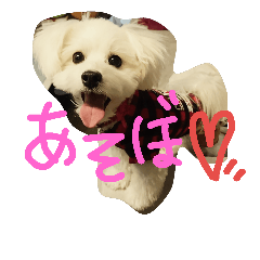 m  o  c  o