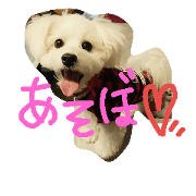 m  o  c  o