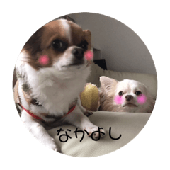 Ruru&Chikuwa