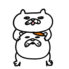 Hibikawa cat -daily story-