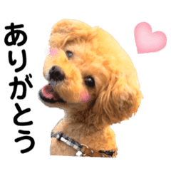 プリティー犬マロン Line スタンプ Line Store