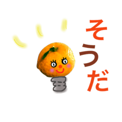 citrus san