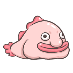 Ugly Blobfish