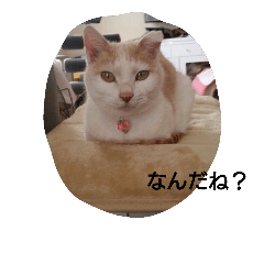 myuu-