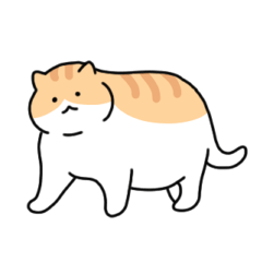 A cute fat cat (English)