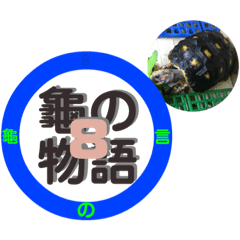 Turtle Story 8