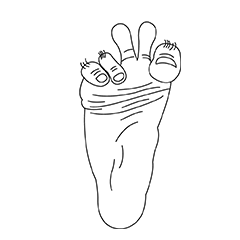 Flexible Hands & Feet