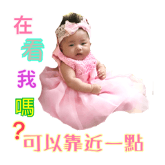 美濃瓜日常