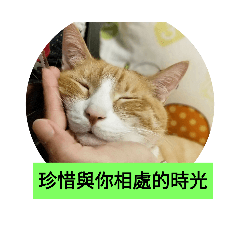 Zhenxl yo xiangchu de shlgang