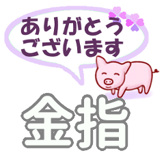 Kanasashi's.Conversation Sticker.
