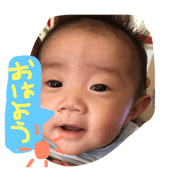 HARU BIG BOY
