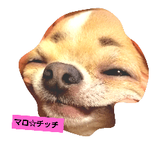 malo.chi"chi