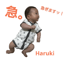 Haruki.T no.1