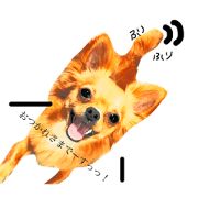 chachamaru Long coat CHIWAWA 2