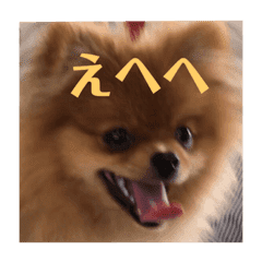 モコ えへへ Line スタンプ Line Store モコ えへへ Line スタンプ Line Store