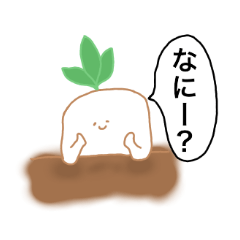 Sat vegetables to speak-Radish ed-