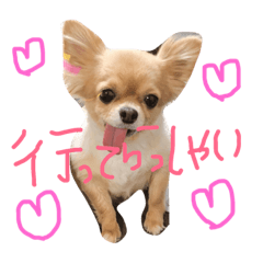 happy monchan
