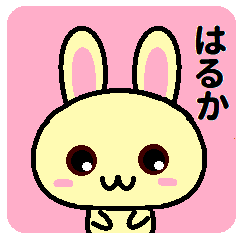 Haruka is a rabbit