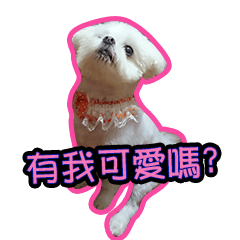 可愛把噗life-1