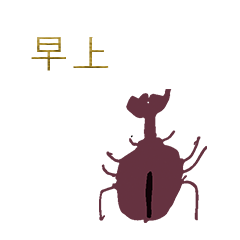 Chinese Beetle