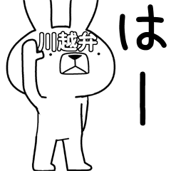 Dialect rabbit [kawagoe]