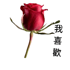 Song of Flowers2