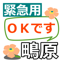 Emergency use[shigihara]name Sticker