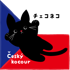 Czech Republic black cat