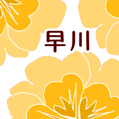 早川 と お花