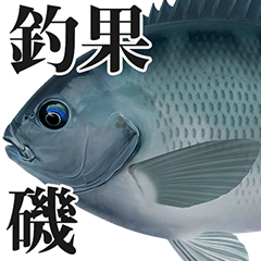 釣り・釣果報告スタンプ（磯・根魚編）