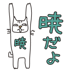 Only for Mr. Akatsuki Banzai Cat