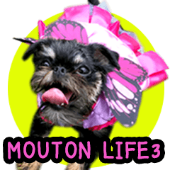 Mouton Life 3