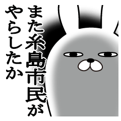Funnyrabbit itoshima