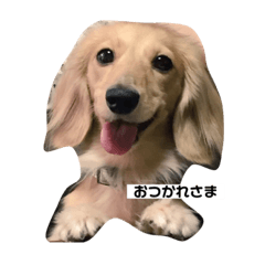 Mimi-chan of Kaninchendachs