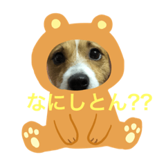 kotebuu