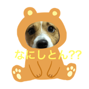 kotebuu