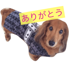 dog sticker (a dachshund)