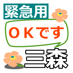 Emergency use[mitsumori]name Sticker