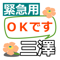 Emergency use[misawa]name Sticker