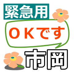 Emergency use[ichioka]name Sticker